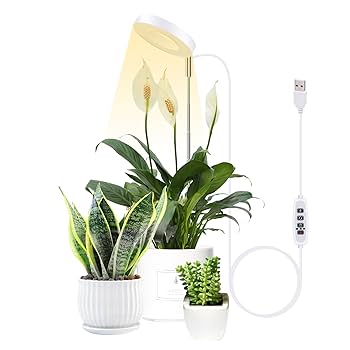 人工観葉植物と球形照明のセット 楽天市場】【BARREL公式】バレル WAP-SUN-20W 植物育成ライト